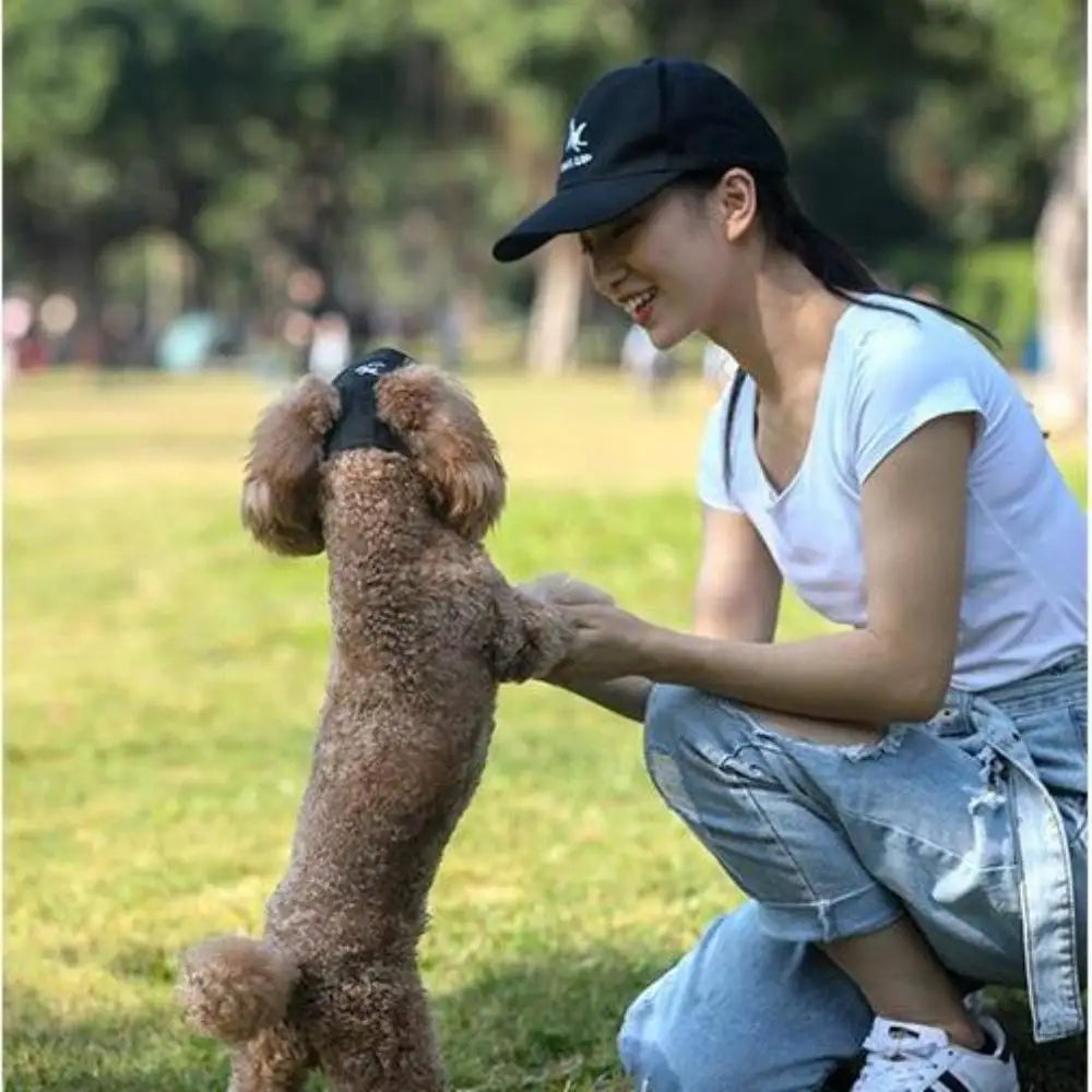 Pet Baseball Caps Summer Outdoor Dog Sun Hat for Small Large Dogs Cats Adjustable Pet Hat with Ear Holes Dog Accessories