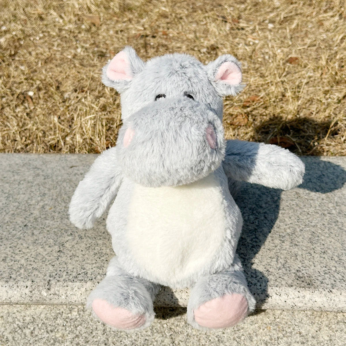 Pet dogs squeeze, squeak, hippopotamus, teddy bear, monkey plush toys accompany all kinds of dogs, big, medium, small