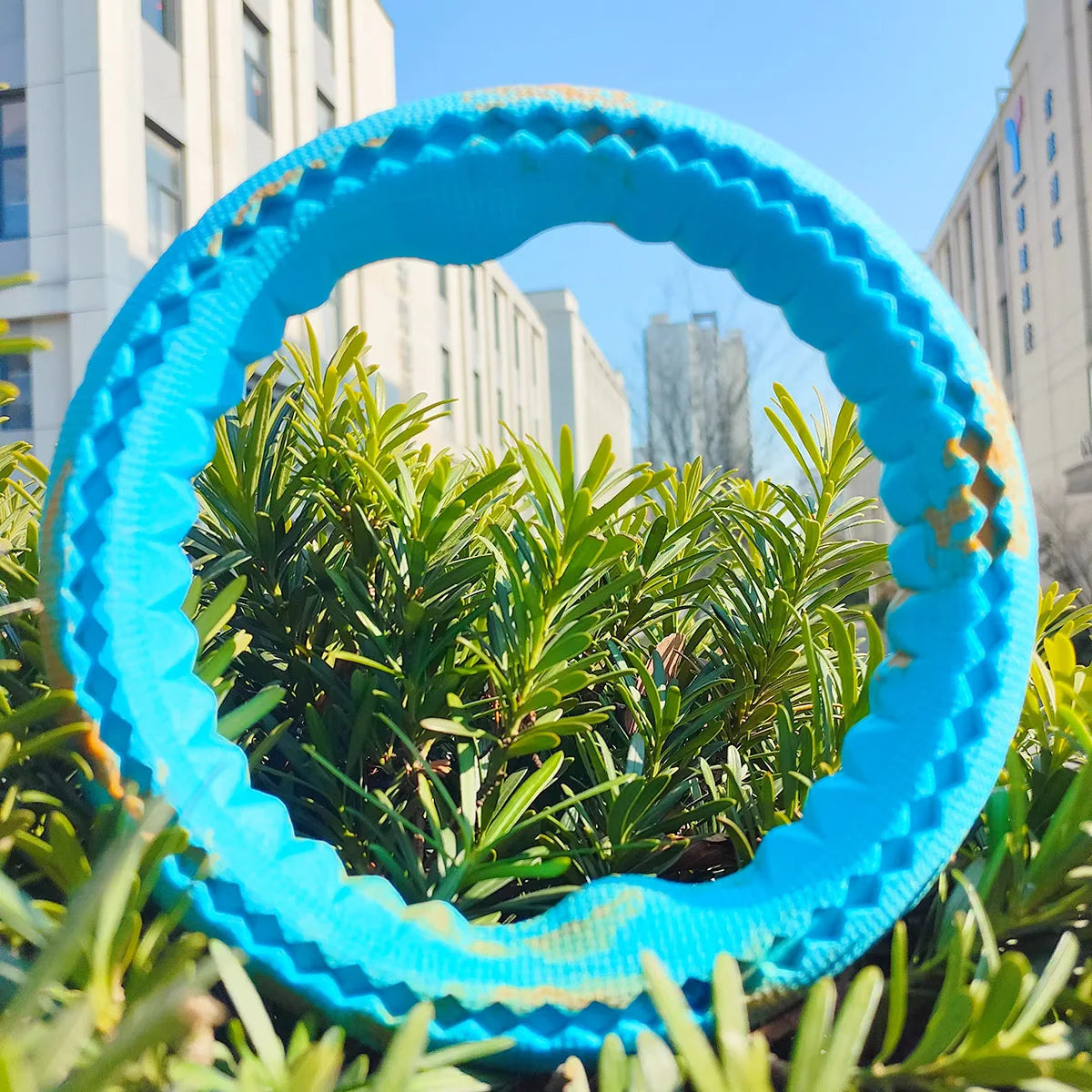 Pet dog rubber bite ring, bite resistant grinding training, interactive companionship for large, medium, and small dogs