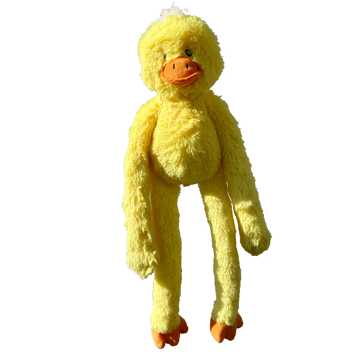 Pet dogs squeeze, squeak, cute chickens, frogs, elephants, plush toys accompany all kinds of dogs, big, medium, small